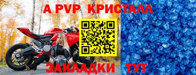 прущие грибы Комсомольск-на-Амуре